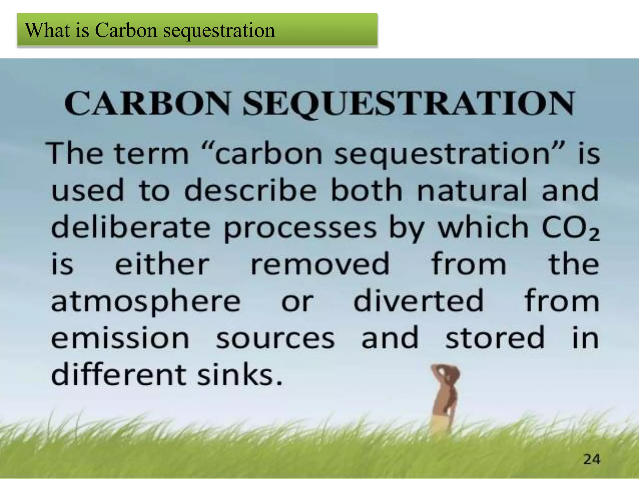 What is Carbon sequestration
 
