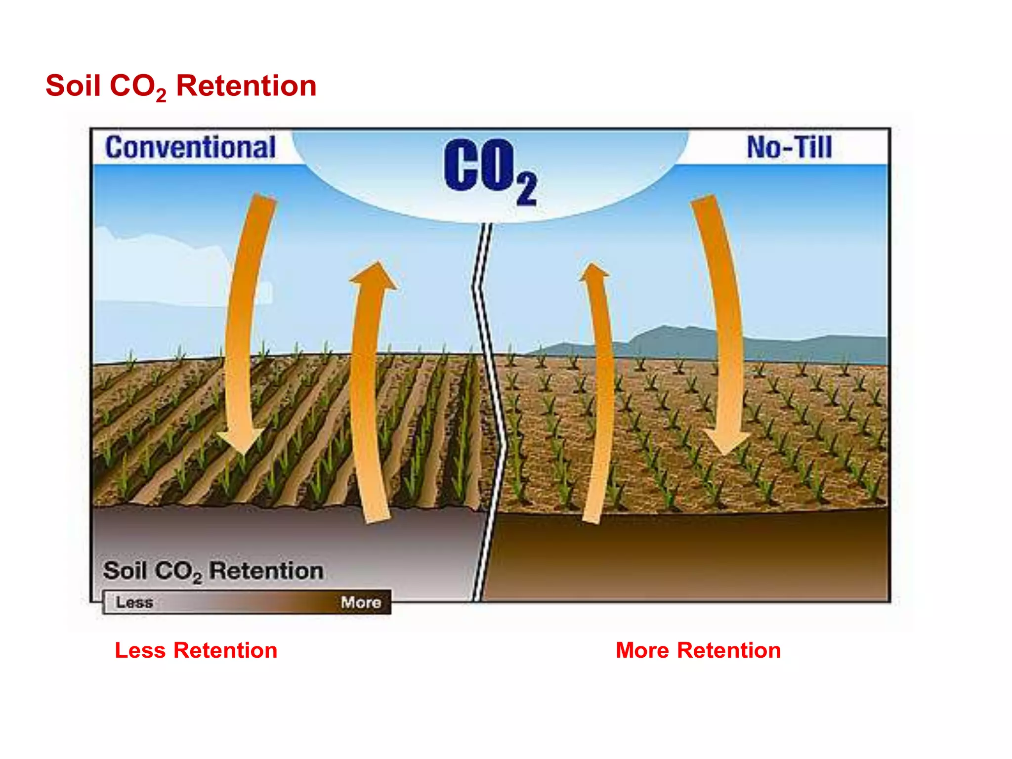 Soil CO2 Retention
Less Retention More Retention
 