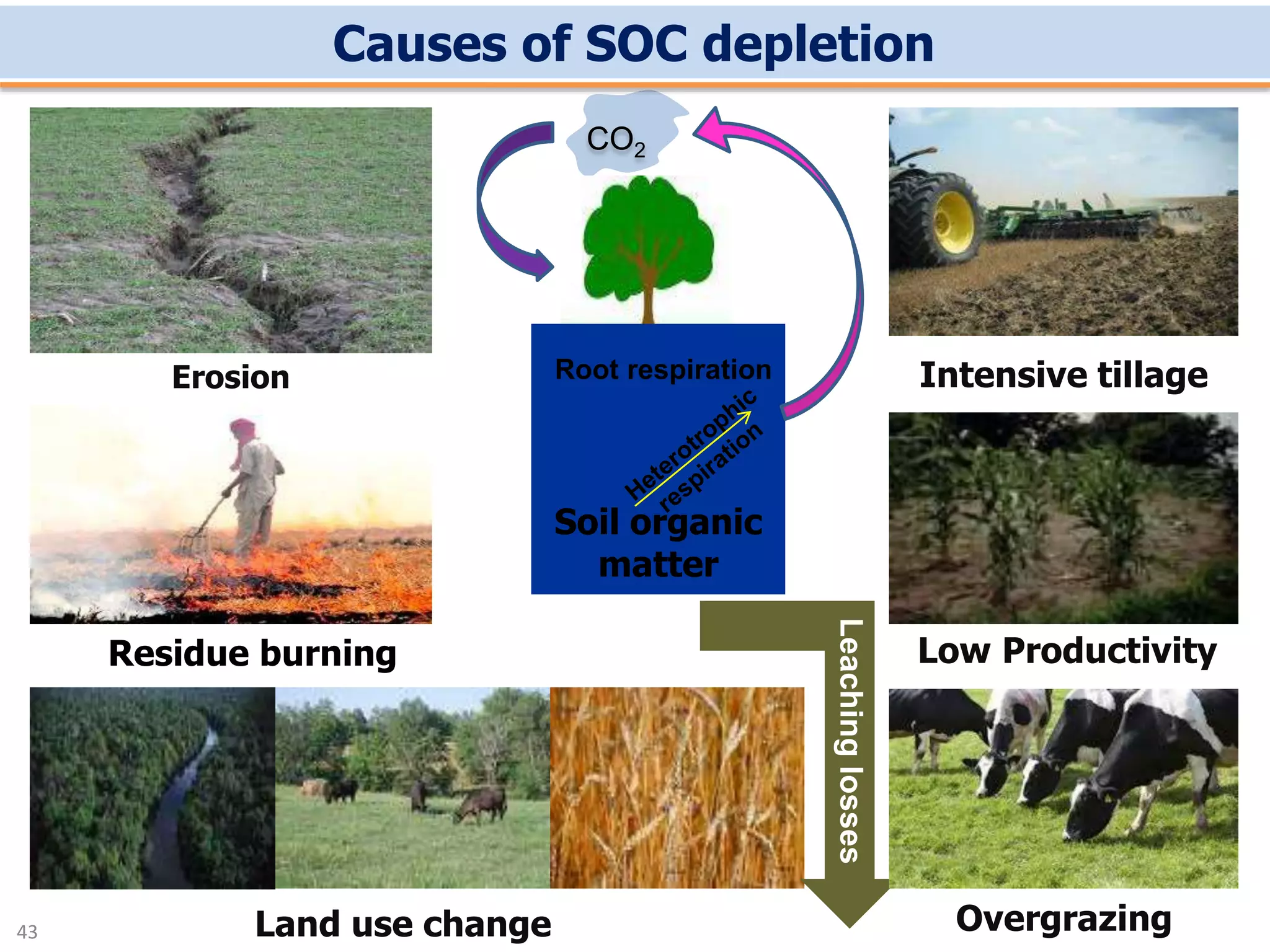 Causes of SOC depletion
Erosion
Residue burning Low Productivity
Land use change
Intensive tillage
CO2
Soil organic
matter
Root respiration
Overgrazing
Leachinglosses
43
 