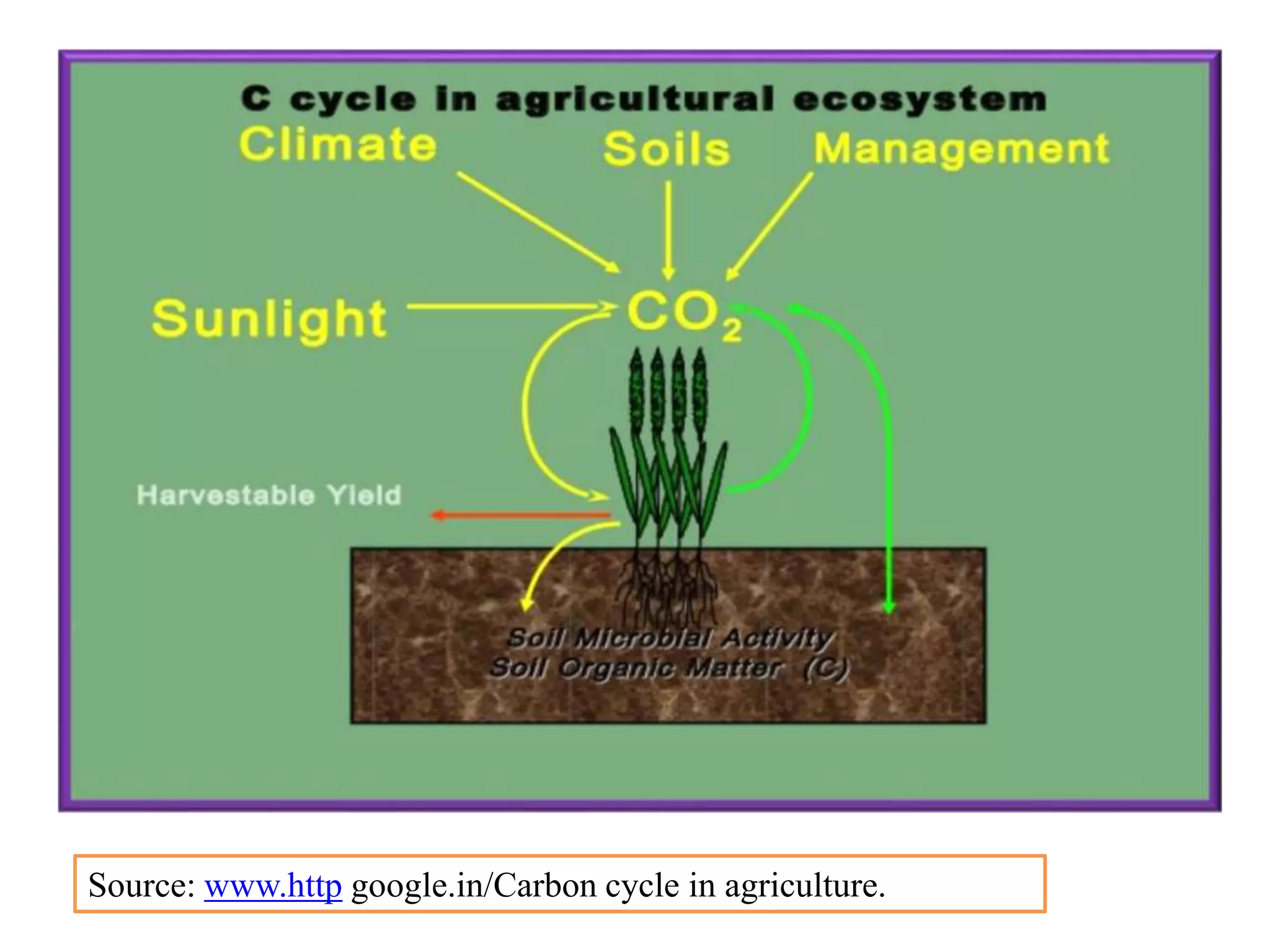 Source: www.http google.in/Carbon cycle in agriculture.
 