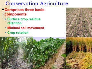 Conservation Agriculture
Comprises three basic
components
 Surface crop residue
retention
 Minimal soil movement
 Crop rotation
 