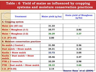 Treatment Maize yield (q/ha)
Grain yield of Mungbean
(q/ha)
A. Cropping system
Maize sole (60 cm) 31.33 -
Maize + Mungbean (1:1) 35.77 2.82
Maize + Mungbean (1:2) 36.29 3.37
C.D. (P=0.05) 2.00 -
B. Moisture conservation practices
No mulch ( Control ) 31.58 2.36
Dust mulch + Straw mulch 34.31 3.12
Kaolin + Straw mulch 33.72 3.05
Kaolin + Dust mulch + Straw
mulch
35.46 3.47
FYM @ 5 tones/ha 33.39 2.98
FYM + Dust mulch + Straw mulch 38.33 3.66
C.D. (P=0.05) 2.15 -
Table : 6 Yield of maize as influenced by cropping
systems and moisture conservation practices
Source: Rana et al. (2004)
 