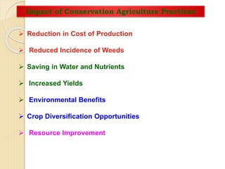 Impact of Conservation Agriculture Practices
 Reduction in Cost of Production
 Reduced Incidence of Weeds
 Saving in Water and Nutrients
 Increased Yields
 Environmental Benefits
 Crop Diversification Opportunities
 Resource Improvement
 