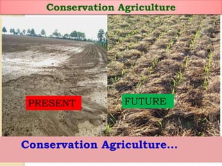 PRESENT FUTURE
Conservation Agriculture
Conservation Agriculture…
 