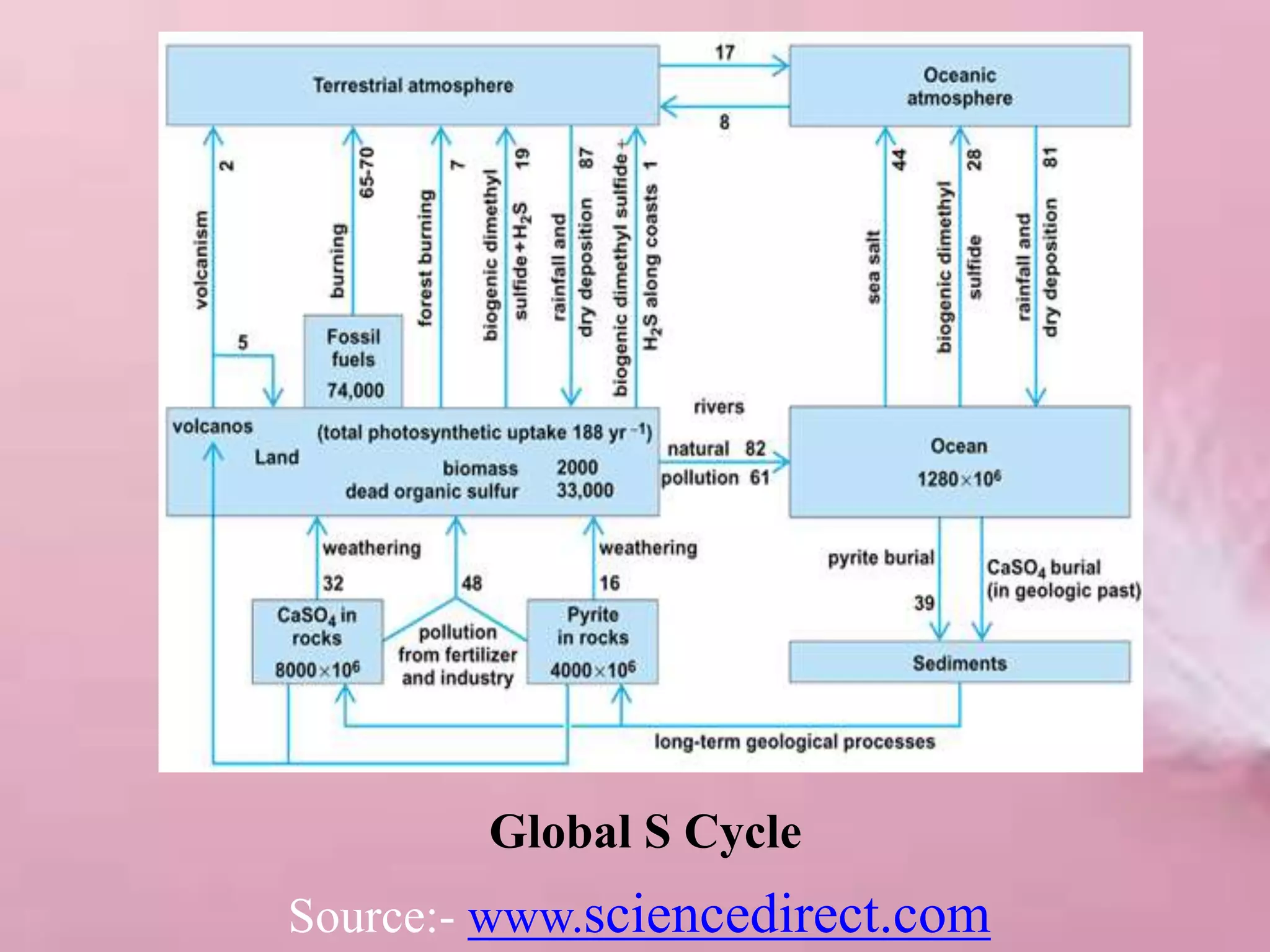 Source:- www.sciencedirect.com
Global S Cycle
 