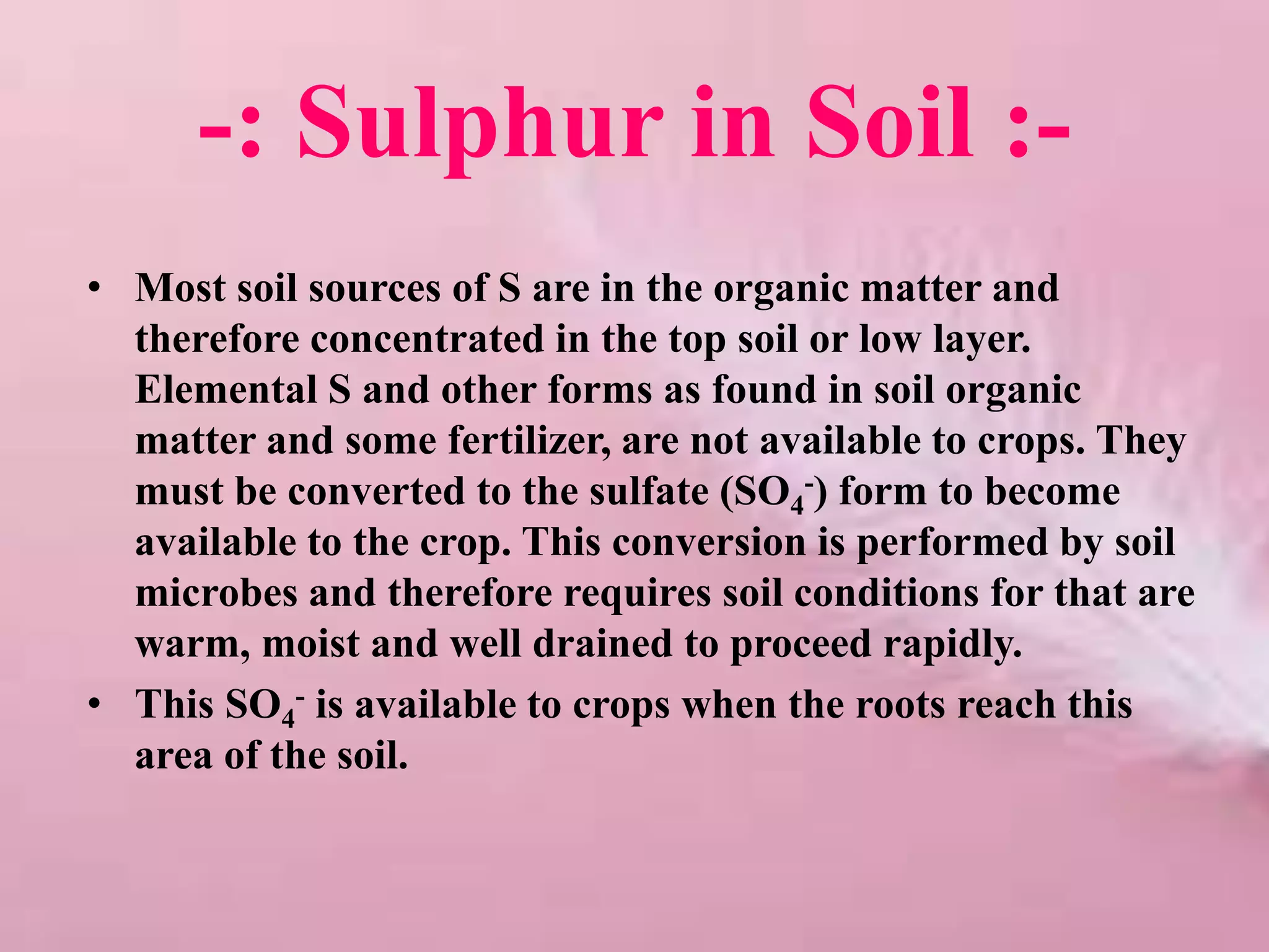 -: Sulphur in Soil :-
• Most soil sources of S are in the organic matter and
therefore concentrated in the top soil or low layer.
Elemental S and other forms as found in soil organic
matter and some fertilizer, are not available to crops. They
must be converted to the sulfate (SO4
-) form to become
available to the crop. This conversion is performed by soil
microbes and therefore requires soil conditions for that are
warm, moist and well drained to proceed rapidly.
• This SO4
- is available to crops when the roots reach this
area of the soil.
 