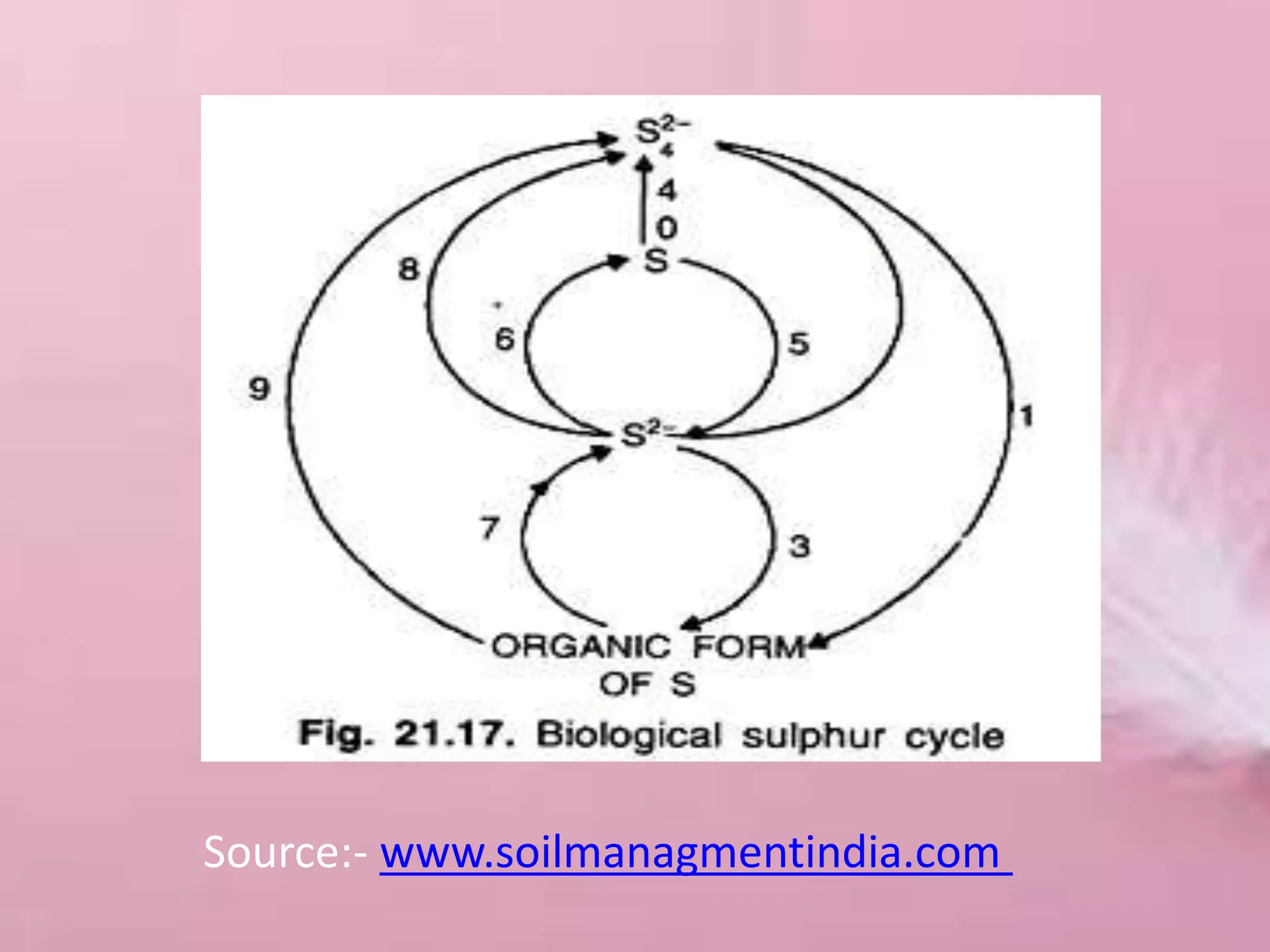 Source:- www.soilmanagmentindia.com
 