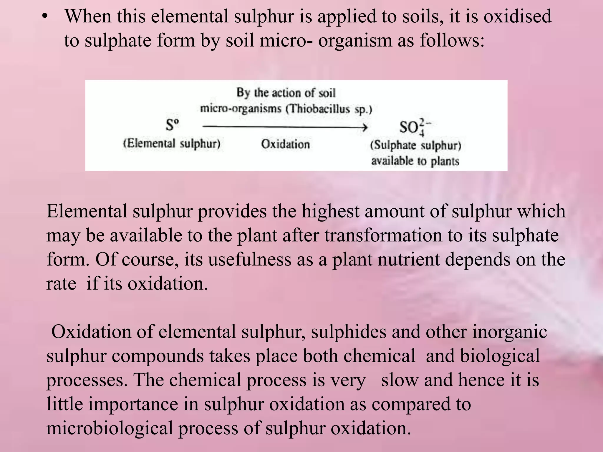 • When this elemental sulphur is applied to soils, it is oxidised
to sulphate form by soil micro- organism as follows:
Elemental sulphur provides the highest amount of sulphur which
may be available to the plant after transformation to its sulphate
form. Of course, its usefulness as a plant nutrient depends on the
rate if its oxidation.
Oxidation of elemental sulphur, sulphides and other inorganic
sulphur compounds takes place both chemical and biological
processes. The chemical process is very slow and hence it is
little importance in sulphur oxidation as compared to
microbiological process of sulphur oxidation.
 