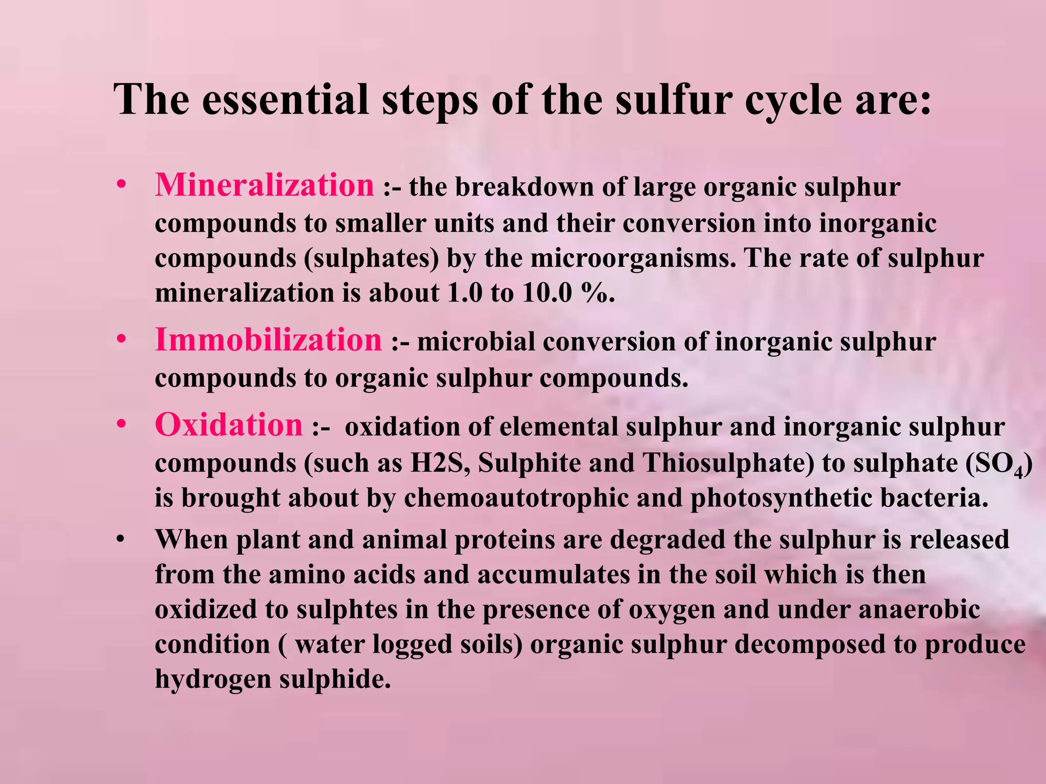 The essential steps of the sulfur cycle are:
• Mineralization :- the breakdown of large organic sulphur
compounds to smaller units and their conversion into inorganic
compounds (sulphates) by the microorganisms. The rate of sulphur
mineralization is about 1.0 to 10.0 %.
• Immobilization :- microbial conversion of inorganic sulphur
compounds to organic sulphur compounds.
• Oxidation :- oxidation of elemental sulphur and inorganic sulphur
compounds (such as H2S, Sulphite and Thiosulphate) to sulphate (SO4)
is brought about by chemoautotrophic and photosynthetic bacteria.
• When plant and animal proteins are degraded the sulphur is released
from the amino acids and accumulates in the soil which is then
oxidized to sulphtes in the presence of oxygen and under anaerobic
condition ( water logged soils) organic sulphur decomposed to produce
hydrogen sulphide.
 