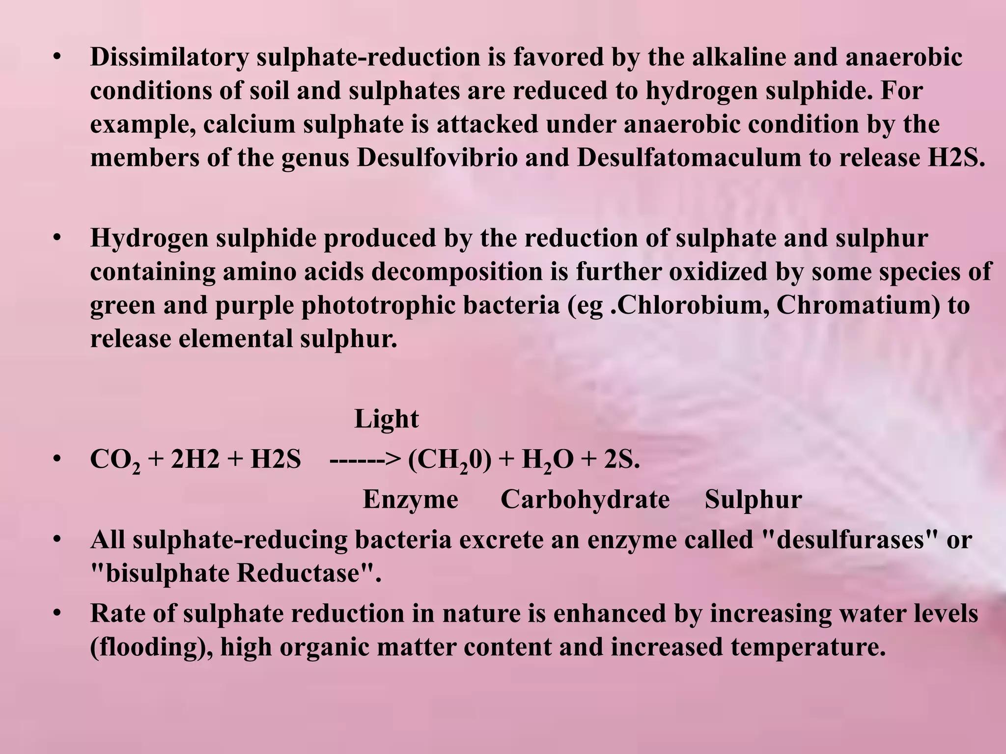 • Dissimilatory sulphate-reduction is favored by the alkaline and anaerobic
conditions of soil and sulphates are reduced to hydrogen sulphide. For
example, calcium sulphate is attacked under anaerobic condition by the
members of the genus Desulfovibrio and Desulfatomaculum to release H2S.
• Hydrogen sulphide produced by the reduction of sulphate and sulphur
containing amino acids decomposition is further oxidized by some species of
green and purple phototrophic bacteria (eg .Chlorobium, Chromatium) to
release elemental sulphur.
Light
• CO2 + 2H2 + H2S ------> (CH20) + H2O + 2S.
Enzyme Carbohydrate Sulphur
• All sulphate-reducing bacteria excrete an enzyme called "desulfurases" or
"bisulphate Reductase".
• Rate of sulphate reduction in nature is enhanced by increasing water levels
(flooding), high organic matter content and increased temperature.
 