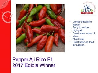 Pepper Aji Rico F1
2017 Edible Winner
• Unique baccatum
pepper
• Early to mature
• High yield
• Great taste, notes of
citrus
• Slight heat
• Great fresh or dried
for paprika
 
