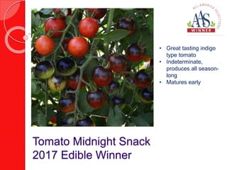 Tomato Midnight Snack
2017 Edible Winner
• Great tasting indigo
type tomato
• Indeterminate,
produces all season-
long
• Matures early
 