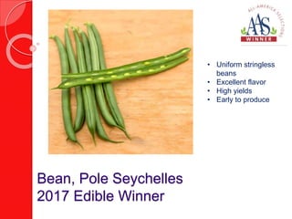 Bean, Pole Seychelles
2017 Edible Winner
• Uniform stringless
beans
• Excellent flavor
• High yields
• Early to produce
 