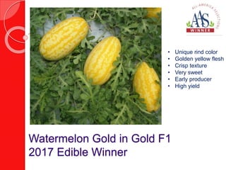 Watermelon Gold in Gold F1
2017 Edible Winner
• Unique rind color
• Golden yellow flesh
• Crisp texture
• Very sweet
• Early producer
• High yield
 