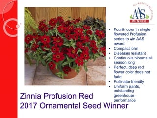 Zinnia Profusion Red
2017 Ornamental Seed Winner
• Fourth color in single
flowered Profusion
series to win AAS
award
• Compact form
• Diseases resistant
• Continuous blooms all
season long
• Perfect, deep red
flower color does not
fade
• Pollinator-friendly
• Uniform plants,
outstanding
greenhouse
performance
 