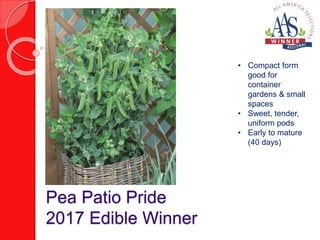 Pea Patio Pride
2017 Edible Winner
• Compact form
good for
container
gardens & small
spaces
• Sweet, tender,
uniform pods
• Early to mature
(40 days)
 