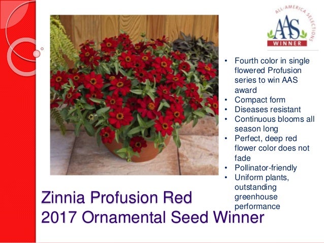 2017 all-america selections garden winners 2017 all-america selections garden winners