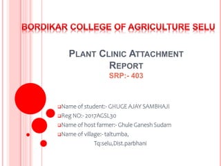 PLANT CLINIC ATTACHMENT
REPORT
SRP:- 403
Name of student:- GHUGE AJAY SAMBHAJI
Reg NO:- 2017AGSL30
Name of host farmer:- Ghule Ganesh Sudam
Name of village:- taltumba,
Tq:selu,Dist.parbhani
 
