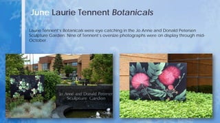 June Laurie Tennent Botanicals
Laurie Tennent’s Botanicals were eye catching in the Jo Anne and Donald Petersen
Sculpture Garden. Nine of Tennent’s oversize photographs were on display through mid-
October.
 