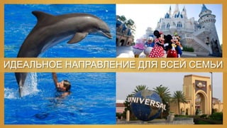 ИДЕАЛЬНОЕ НАПРАВЛЕНИЕ ДЛЯ ВСЕЙ СЕМЬИ
 