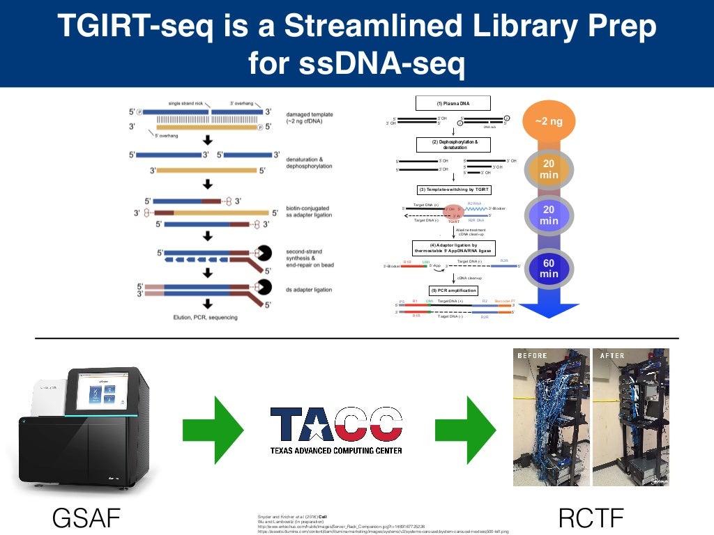 Use of TGIRT for ssDNAseq of cfDNA in human plasma