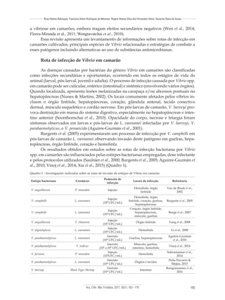 Arq. Ciên. Mar, Fortaleza, 2017, 50(1): 163 - 179 165
Rosa Helena Rebouças, Francisca Gleire Rodrigues de Menezes, Regine Helena Silva dos Fernandes Vieira, Oscarina Viana de Sousa
a vibriose em camarões, embora tragam efeitos secundários negativos (Wen et al., 2014;
Flores-Miranda et al., 2011; Wongtavatchai et al., 2010).
Essa revisão apresenta um levantamento de informações sobre rotas de infecção em
camarões cultivados, principais espécies de Vibrio relacionadas e estratégias de combate a
esses patógenos incluindo alternativas ao uso de substâncias antimicrobianas.
Rota de infecção de Vibrio em camarão
As doenças causadas por bactérias do gênero Vibrio em camarões são classificadas
como infecções secundárias e oportunistas, ocorrendo em todos os estágios de vida do
animal (larval, pós-larval, juvenil e adulta). O processo de infecção causada por Vibrio spp.
em camarão pode ser cuticular, entérico (intestinal) e sistêmico (envolvendo vários órgãos).
Quando localizada, apresenta lesões melanizadas na carapaça e/ou abcessos pontuais no
hepatopâncreas (Nunes & Martins, 2002). Os locais comumente afetados pelos víbrios in-
cluem o órgão linfóide, hepatopâncreas, coração, glândula antenal, tecido conectivo
dermal, músculo esquelético e cordão nervoso. Em pós-larvas de camarão, V. harveyi pro-
voca destruição em massa do sistema digestivo, especialmente no hepatopâncreas e intes-
tino anterior (Soonthornchai et al., 2010). Opacidade do corpo, necrose e letargia foram
sintomas observados em larvas e pós-larvas de L. vannamei infectadas por V. harveyi, V.
parahaemolyticus, e V. penaeicida (Aguirre-Guzmán et al., 2001).
Burgents et al. (2005) experimentaram um processo de infeccção por V. campbelli em
pós-larvas de camarão L. vannamei observando invasão deste patógeno em guelras, hepa-
topâncreas, órgão linfóide, coração e hemolinfa.
Os resultados obtidos em estudos sobre as rotas de infecção bacteriana por Vibrio
spp. em camarões são influenciados pelas estirpes bacterianas empregadas, dose infectante
e pelos protocolos utilizados (Saulnier et al., 2000; Burgents et al., 2005; Aguirre-Guzmán et
al., 2010; Vinoj et al., 2014; Xia et al., 2015) (Quadro 1).
Quadro 1 - Investigações realizadas sobre as rotas de invasão de estirpes de Vibrio em camarão.
Estirpe bacteriana Crustáceo
Protocolo de
infecção
Locais de infecção Referência
V. anguillarum P. monodon Injeção
Hemolinfa, órgão
linfóide
Van de Braak et al.,
2002
V. campbelli L. vannamei
Injeção
(104
UFC/mL)
Hemolinfa, órgão
linfóide, coração, guelras,
hepatopâncreas
Burgents et al., 2005
V. campbelli L. vannamei
Injeção
(104
UFC/mL)
Coração, órgão linfóide,
hepatopâncreas,
músculo, guelras
Burge et al., 2007
V. anguillarum F. chinensis
Injeção
(107
UFC/mL)
Órgão linfóide Yang et al., 2008
V. alginolyticus L. vannamei
Injeção
(105
UFC/mL)
Hemolinfa Li et al., 2008
V. parahaemolyticus L. vannamei
Imersão
(106
UFC/mL)
Guelras, hepatopâncreas
Aguirre-Guzman
et al., 2010
V. parahaemolyticus F. indicus
Imersão
(103
a 108
UFC/mL)
Músculo, guelras,
intestino, hemolinfa
Vinoj et al., 2014
V. furnissi P. monodon
Injeção
(105
UFC/mL)
Hemolinfa
Subramanian et al.,
2014
V. parahaemolyticus L. vannamei
Imersão
(106
UFC/mL)
Órgãos e tecidos
Peña-Navarro &
Mejías, 2015
V. harveyi Black Tiger Shrimp
Imersão
(106
UFC/mL)
Intestino
Rungrassamee et al.,
2016
 