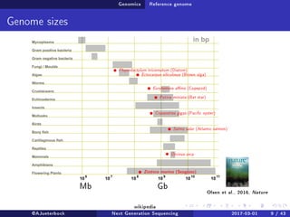 Genomics Reference genome
Genome sizes
Phaeodactylum tricornutum (Diatom)
Ectocarpus siliculosus (Brown alga)
Eurytemora anis (Copepod)
Patiria miniata (Bat star)
Crassostrea gigas (Pacic oyster)
Salmo salar (Atlantic salmon)
Orcinus orca
Zostera marina (Seagrass)
Olsen et al., 2016, Nature
Mb Gb
wikipedia
@AJueterbock Next Generation Sequencing 2017-03-01 9 / 43
 