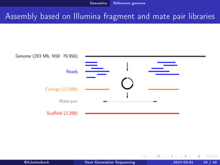 Genomics Reference genome
Assembly based on Illumina fragment and mate pair libraries
Genome (203 Mb, N50: 79,958)
Reads
Contigs (12,588)
Mate-pair
Scaold (2,200)
@AJueterbock Next Generation Sequencing 2017-03-01 10 / 43
 