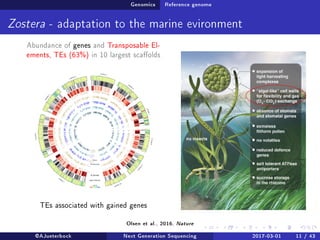Genomics Reference genome
Zostera - adaptation to the marine evironment
Abundance of genes and Transposable El-
ements, TEs (63%) in 10 largest scaolds
TEs associated with gained genes
Olsen et al., 2016, Nature
@AJueterbock Next Generation Sequencing 2017-03-01 11 / 43
 