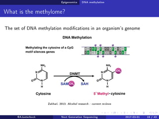 Epigenomics DNA methylation
What is the methylome?
The set of DNA methylation modications in an organism's genome
Zakhari, 2013, Alcohol research : current reviews
@AJueterbock Next Generation Sequencing 2017-03-01 18 / 43
 