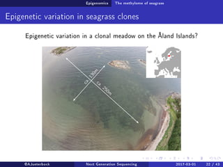Epigenomics The methylome of seagrass
Epigenetic variation in seagrass clones
Epigenetic variation in a clonal meadow on the Åland Islands?
@AJueterbock Next Generation Sequencing 2017-03-01 22 / 43
 