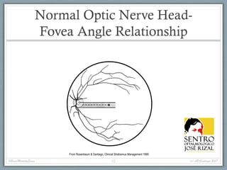 2017 Basic Motility Examination | PDF