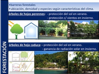 •barreras forestales
•ubicación, densidad y especies según características del clima.
árboles de hoja caduca: - protección del sol en verano.
- ganancia de radiación solar en invierno.
árboles de hojas perennes: - protección del sol en verano.
- protección c/ vientos en invierno.
FORESTACIÓN
 