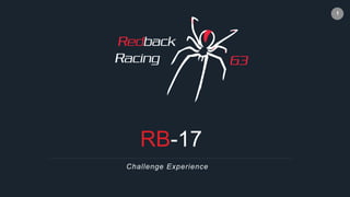 1
RB-17
Challenge Experience
 