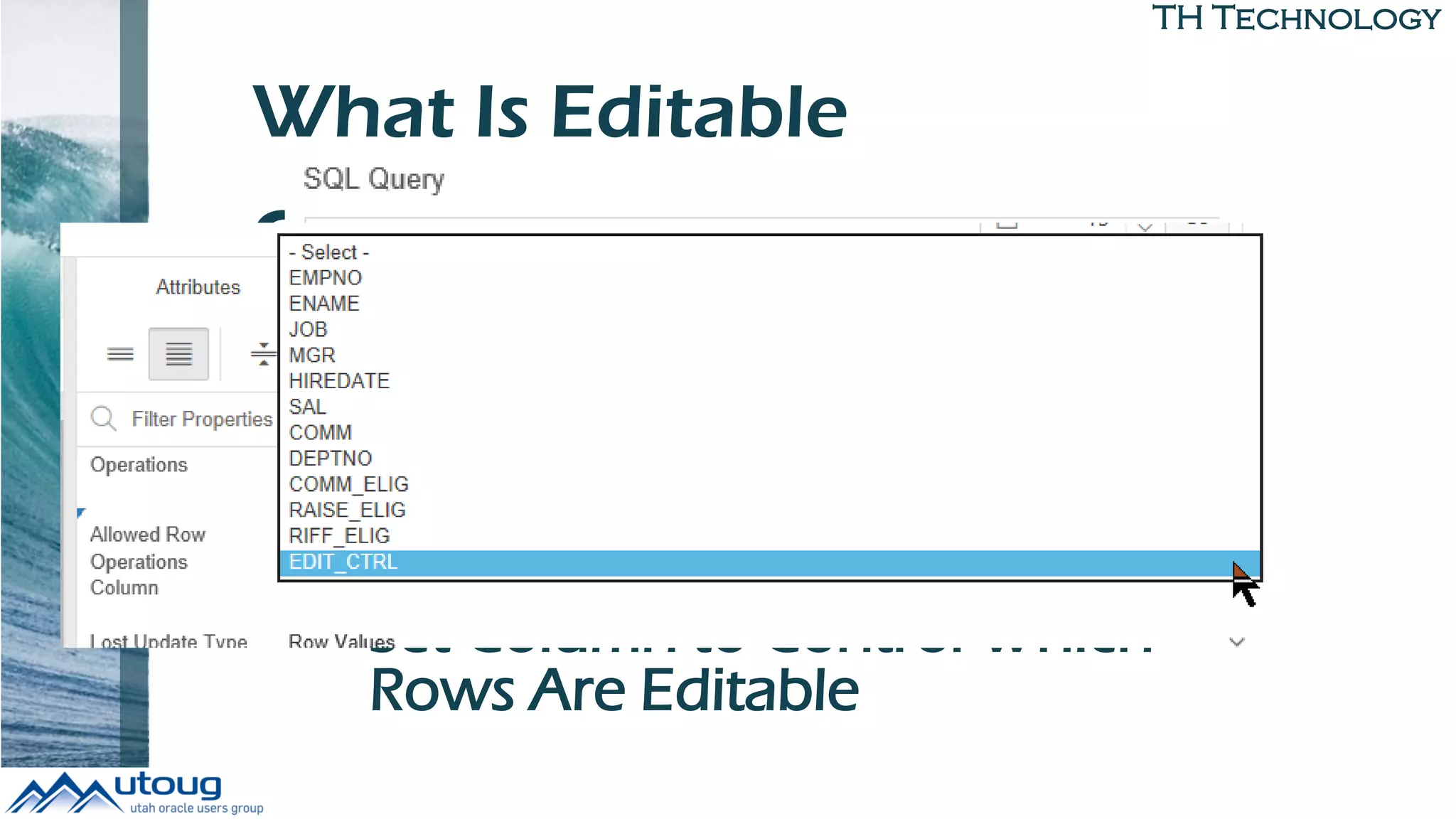 TH Technology
What Is Editable
Columns
• Display Only
Rows
• Allowed Row Operations
• Set Column to Control Which
Rows Are Editable
 