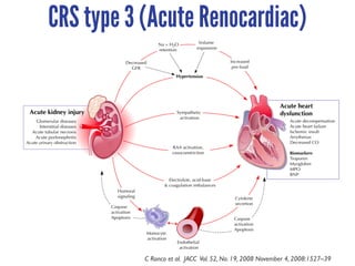 Ronco Classification Cardiorenal syndrome Chaken 2017 | PDF