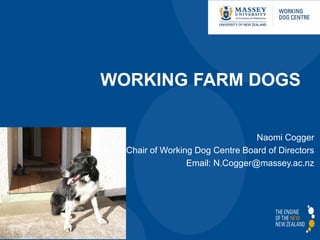 WORKING FARM DOGS
Naomi Cogger
Chair of Working Dog Centre Board of Directors
Email: N.Cogger@massey.ac.nz
 