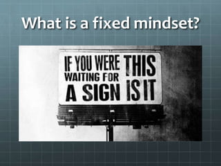 What is a fixed mindset?
 