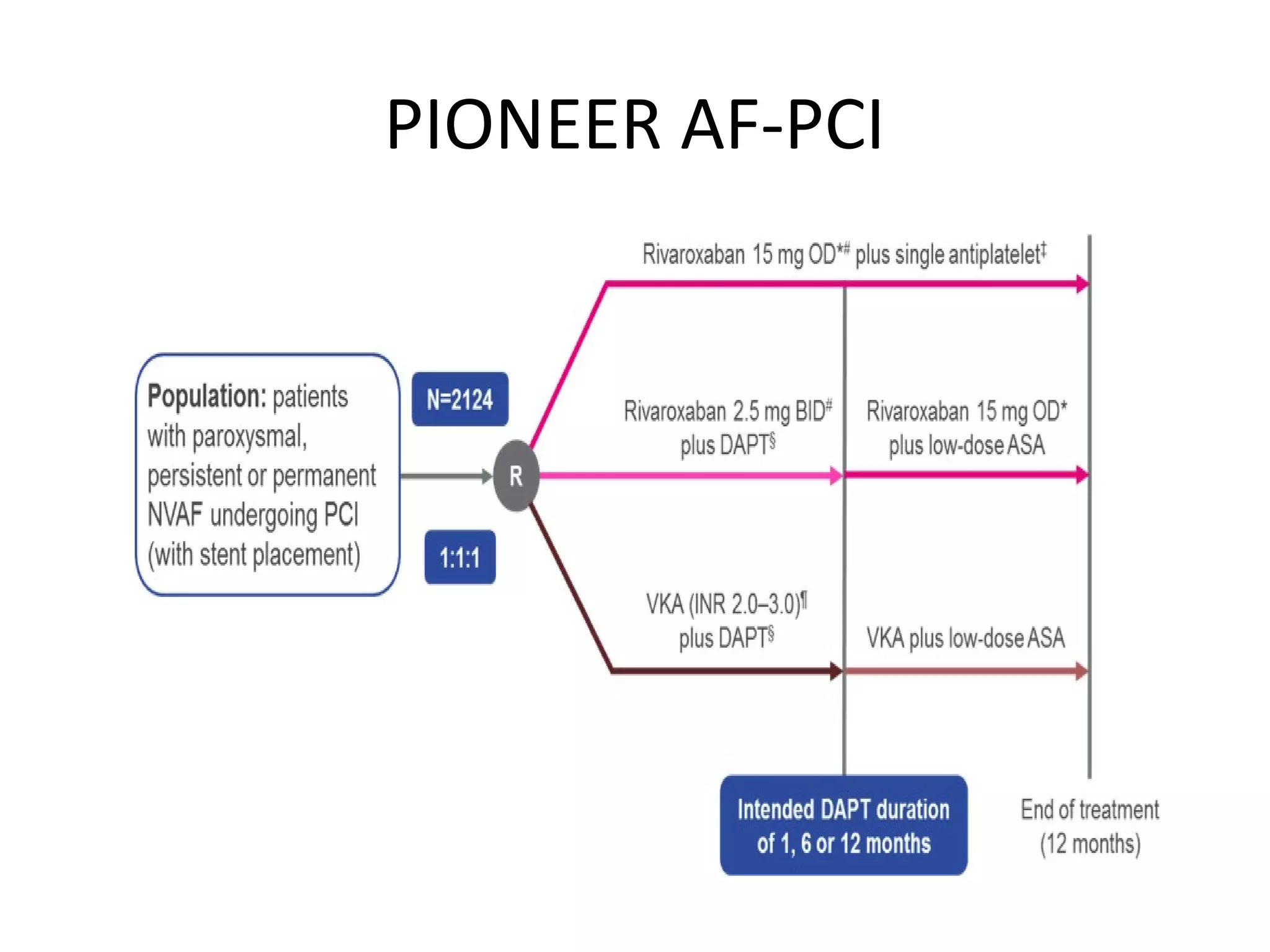 PIONEER AF-PCI
 