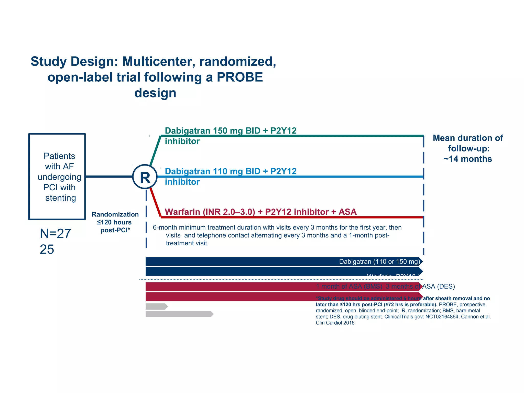 Study Design: Multicenter, randomized,
open-label trial following a PROBE
design
R
Randomization
≤120 hours
post-PCI* 6-month minimum treatment duration with visits every 3 months for the first year, then
visits and telephone contact alternating every 3 months and a 1-month post-
treatment visit
Patients
with AF
undergoing
PCI with
stenting
Dabigatran 150 mg BID + P2Y12
inhibitor
Dabigatran 110 mg BID + P2Y12
inhibitor
Warfarin (INR 2.0–3.0) + P2Y12 inhibitor + ASA
N=27
25
Mean duration of
follow-up:
~14 months
Dabigatran (110 or 150 mg) P2Y12 inhibitor
Warfarin P2Y12 inhibitor
1 month of ASA (BMS) 3 months of ASA (DES)
*Study drug should be administered 6 hours after sheath removal and no
later than ≤120 hrs post-PCI (≤72 hrs is preferable). PROBE, prospective,
randomized, open, blinded end-point; R, randomization; BMS, bare metal
stent; DES, drug-eluting stent. ClinicalTrials.gov: NCT02164864; Cannon et al.
Clin Cardiol 2016
 
