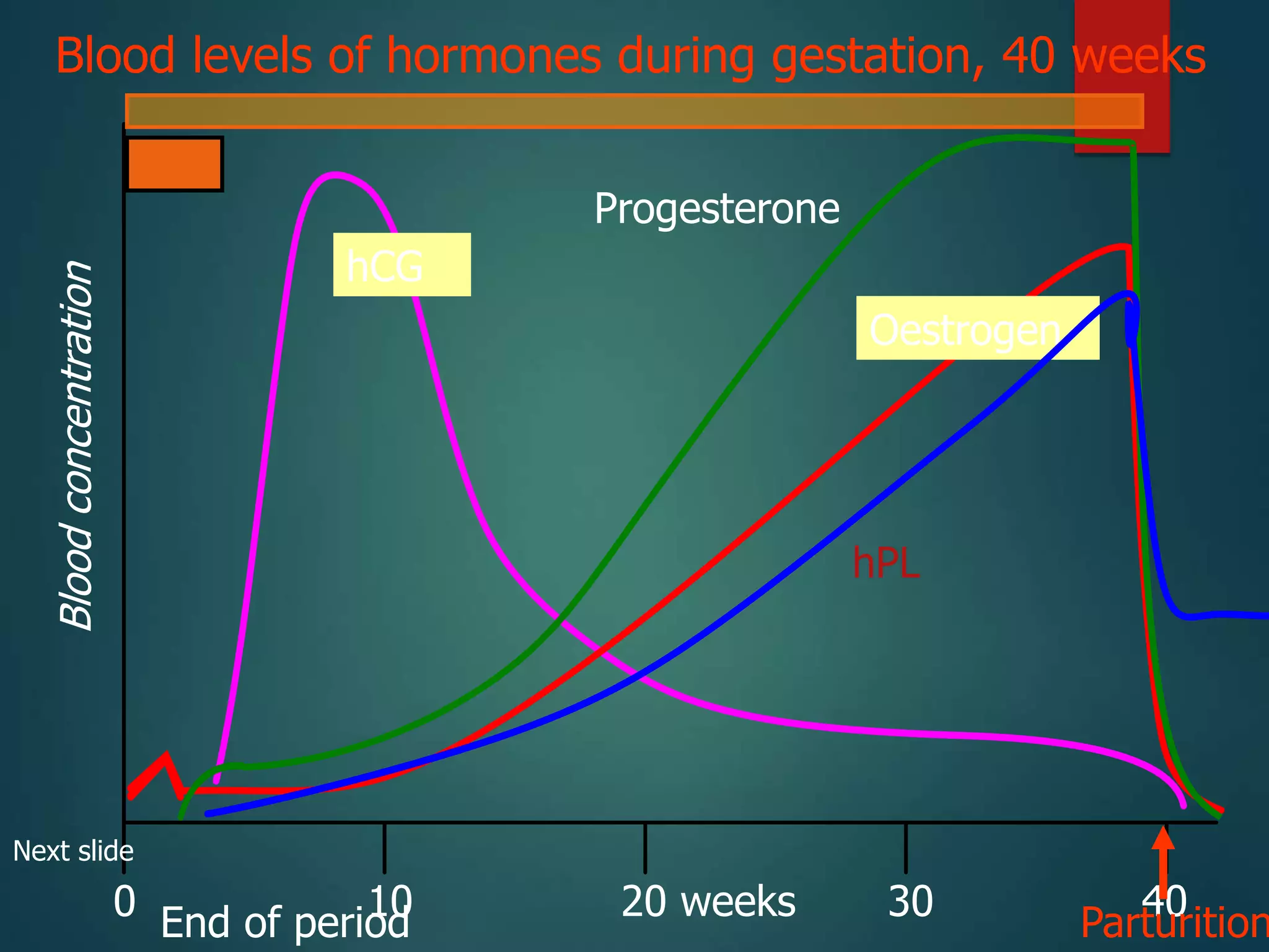 Bleeding in early pregnancy | PPT