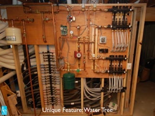 Unique Feature:Water Tree
 