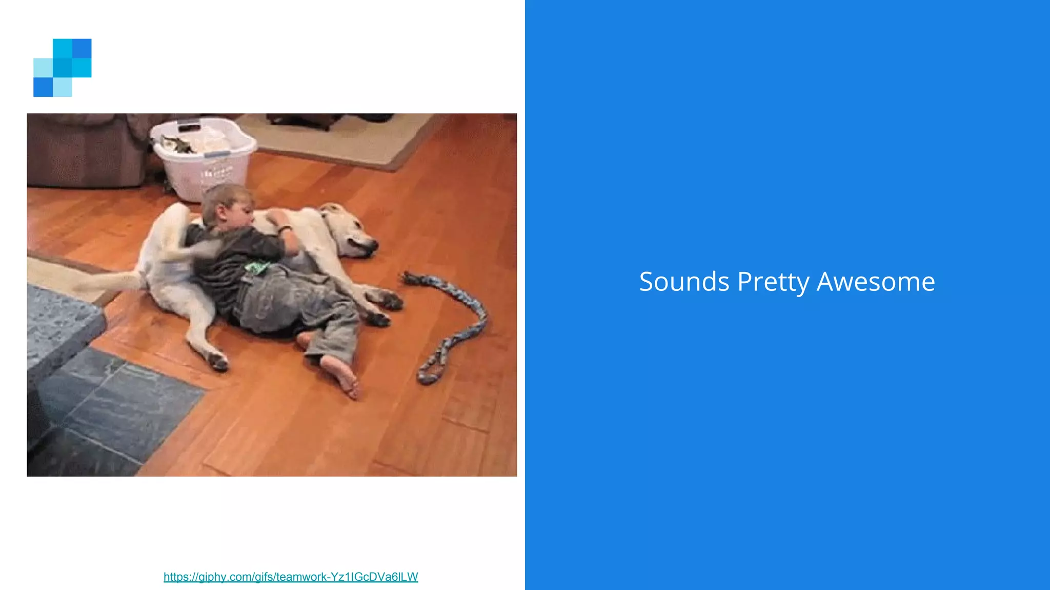 Sounds Pretty Awesome
https://giphy.com/gifs/teamwork-Yz1IGcDVa6lLW
 