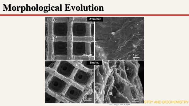 Phd thesis on polyaniline
