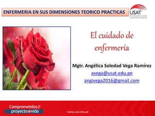 www.usat.edu.pe
www.usat.edu.pe
Mgtr. Angélica Soledad Vega Ramírez
avega@usat.edu.pe
angivega2016@gmail.com
El cuidado de
enfermería
ENFERMERIA EN SUS DIMENSIONES TEORICO PRACTICAS
 