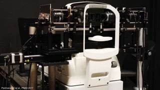 Padmanaban et al., PNAS 2017
 