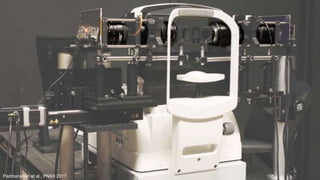 Padmanaban et al., PNAS 2017
 