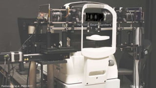 Padmanaban et al., PNAS 2017
 