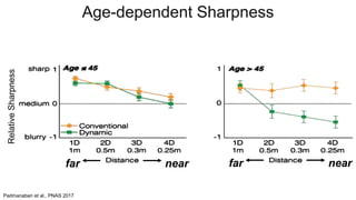 far near far near
Padmanaban et al., PNAS 2017
Age-dependent SharpnessRelativeSharpness
 