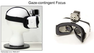Gaze-contingent Focus
Padmanaban et al., PNAS 2017
 